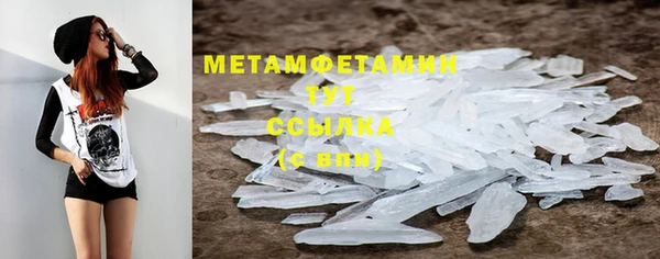 стаф Новозыбков