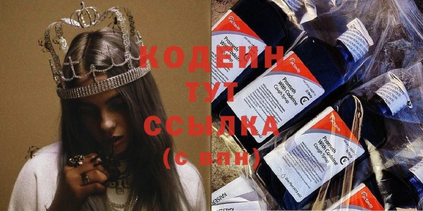 стаф Новозыбков