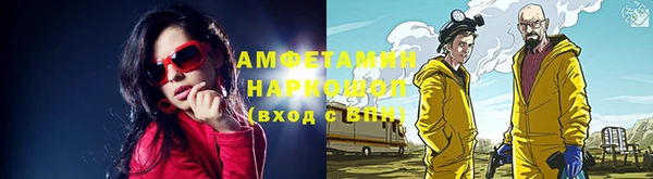 стаф Новозыбков