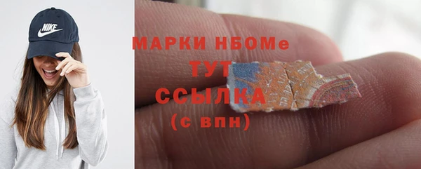 стаф Новозыбков