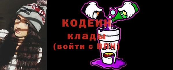 МДПВ Нея