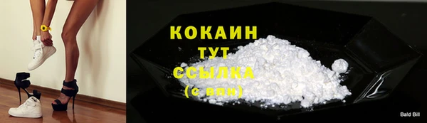 прущие грибы Новокубанск
