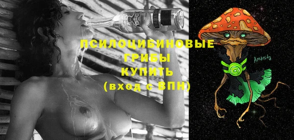 МДПВ Нея