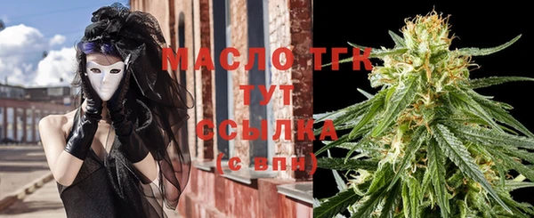 стаф Новозыбков