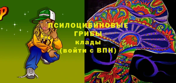 прущие грибы Новокубанск