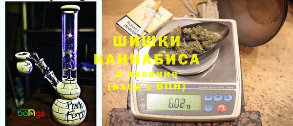 МДПВ Нея