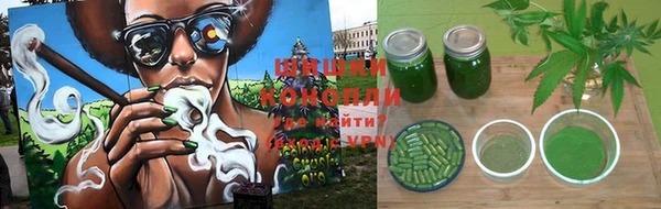 прущие грибы Новокубанск