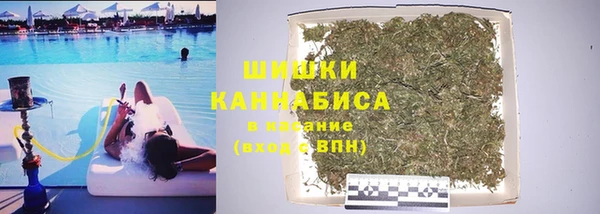 мдпв Новодвинск