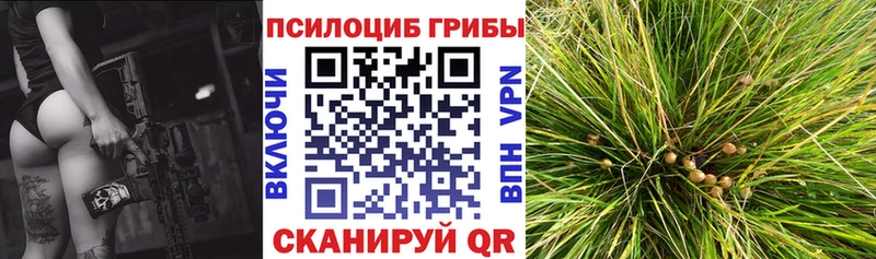Галлюциногенные грибы прущие грибы  Моздок 