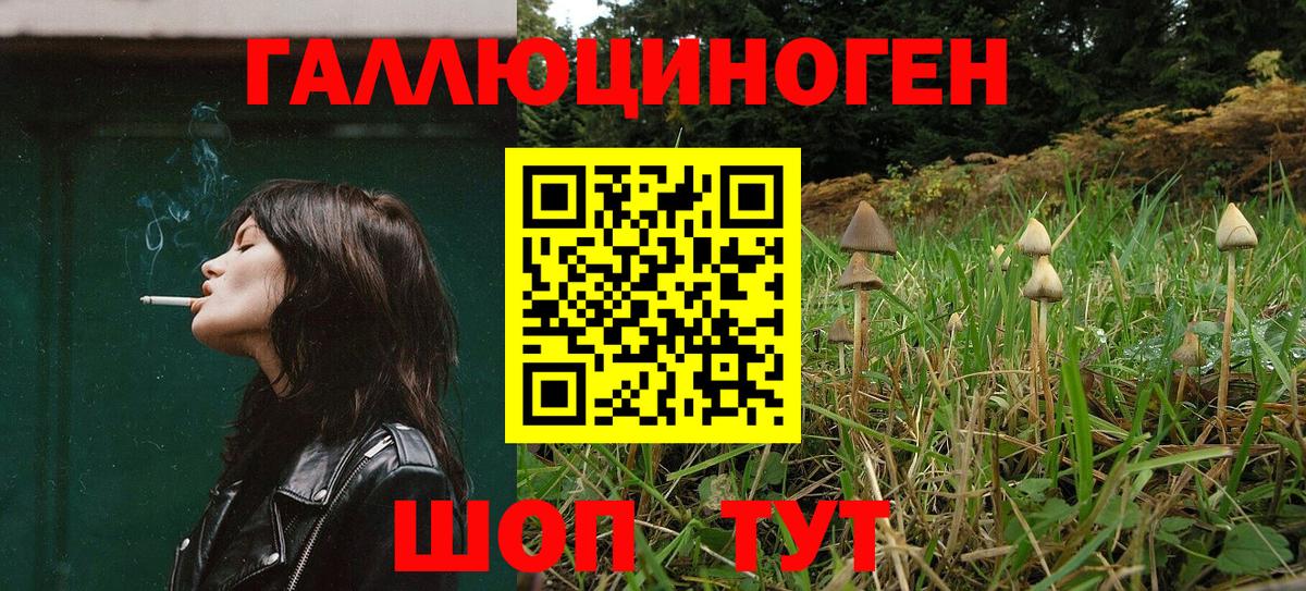 Псилоцибиновые грибы Psilocybine cubensis  наркота  Моздок  Псилоцибиновые грибы Magic Shrooms 