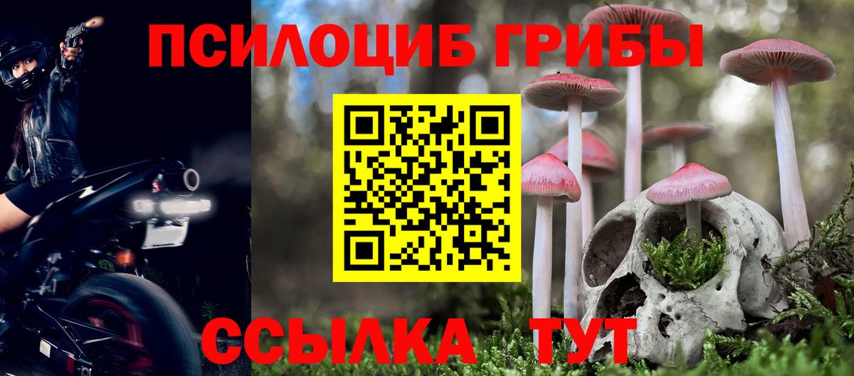 Моздок  Галлюциногенные грибы ЛСД  Вход с VPN 